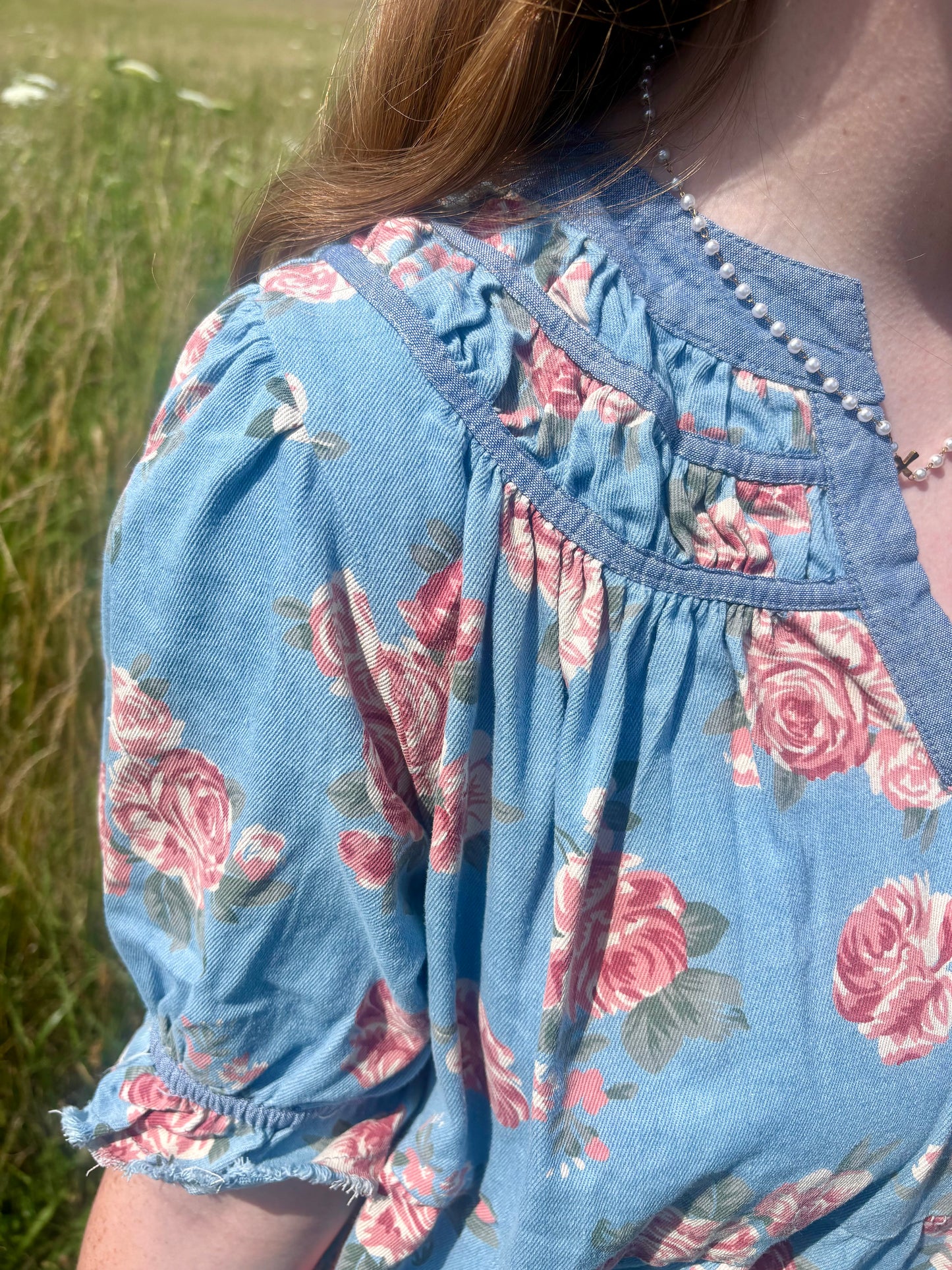 Rose Garden Denim Dress