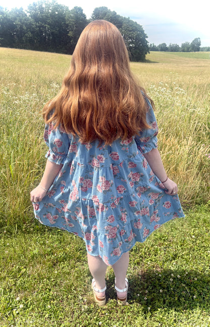 Rose Garden Denim Dress