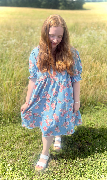Rose Garden Denim Dress