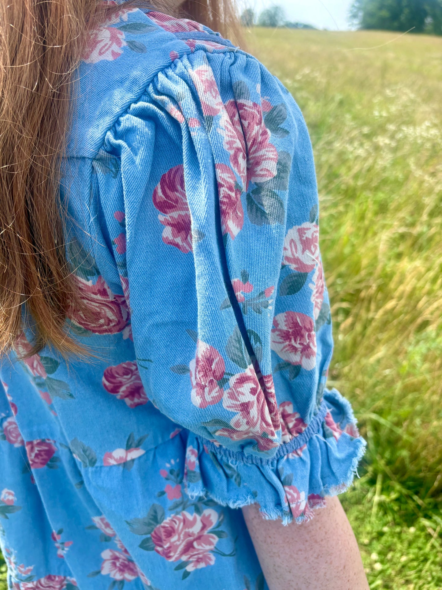 Rose Garden Denim Dress
