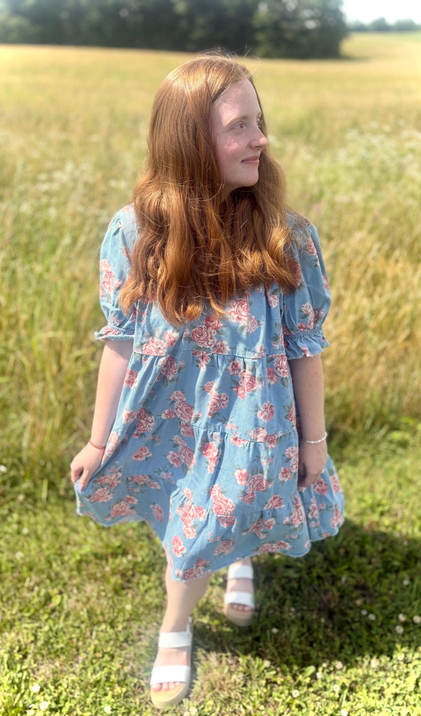 Rose Garden Denim Dress