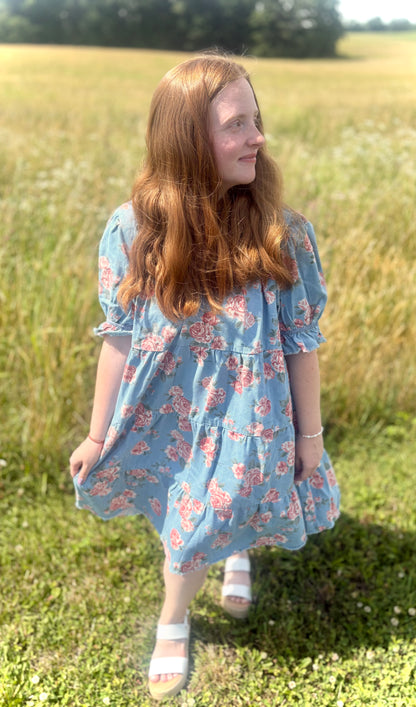Rose Garden Denim Dress